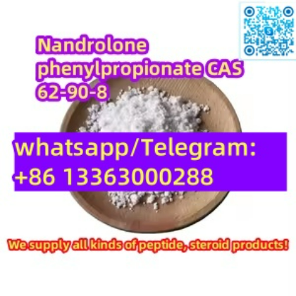 Nandrolone3-phenylpropionate cas 62-90-8